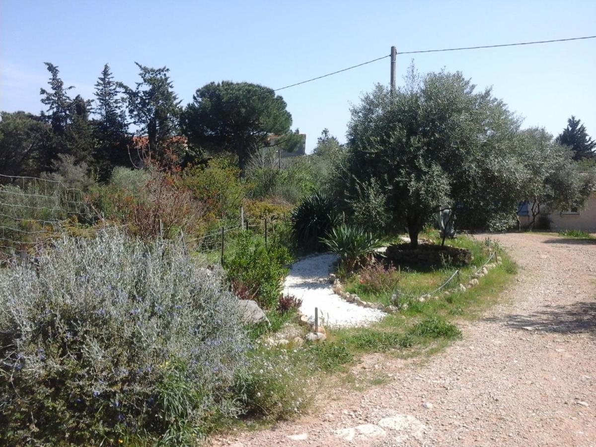 Ecoutez Les Oiseaux Hotell Lunel  Exteriör bild